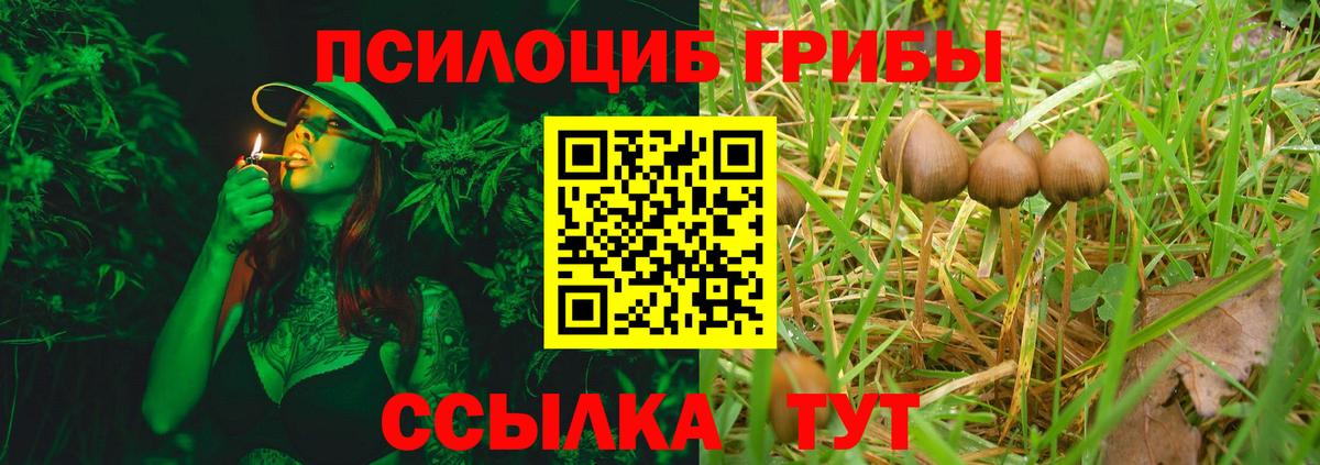 Псилоцибиновые грибы прущие грибы  Вход с VPN  Алапаевск 